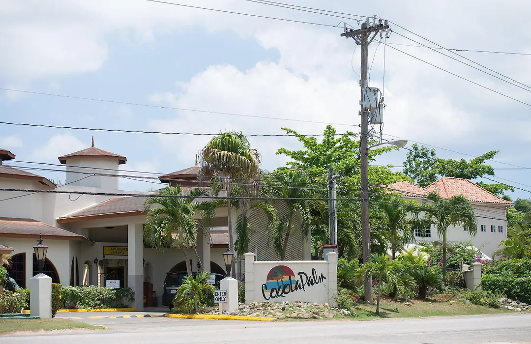 Coco La Palm-1